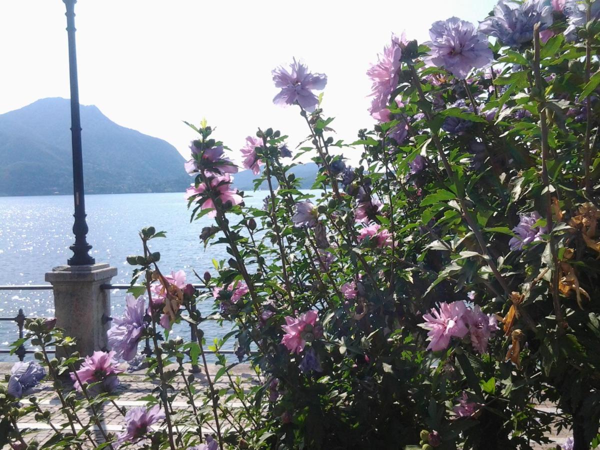 Bed and Breakfast Lontani Da Casa Borgofranco d'Ivrea Экстерьер фото